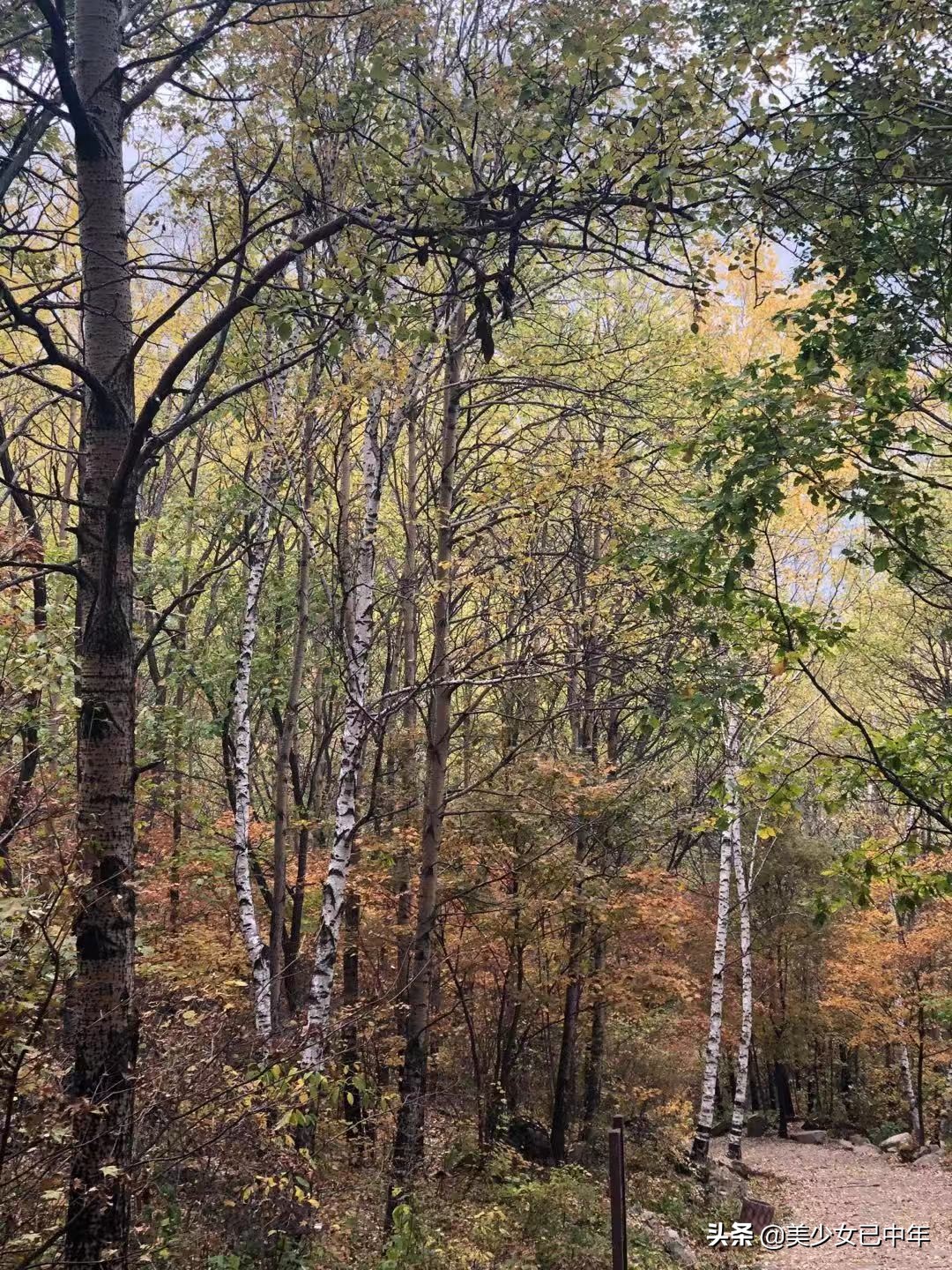 北京喇叭沟门原始森林公园,北京喇叭沟门原始森林攻略