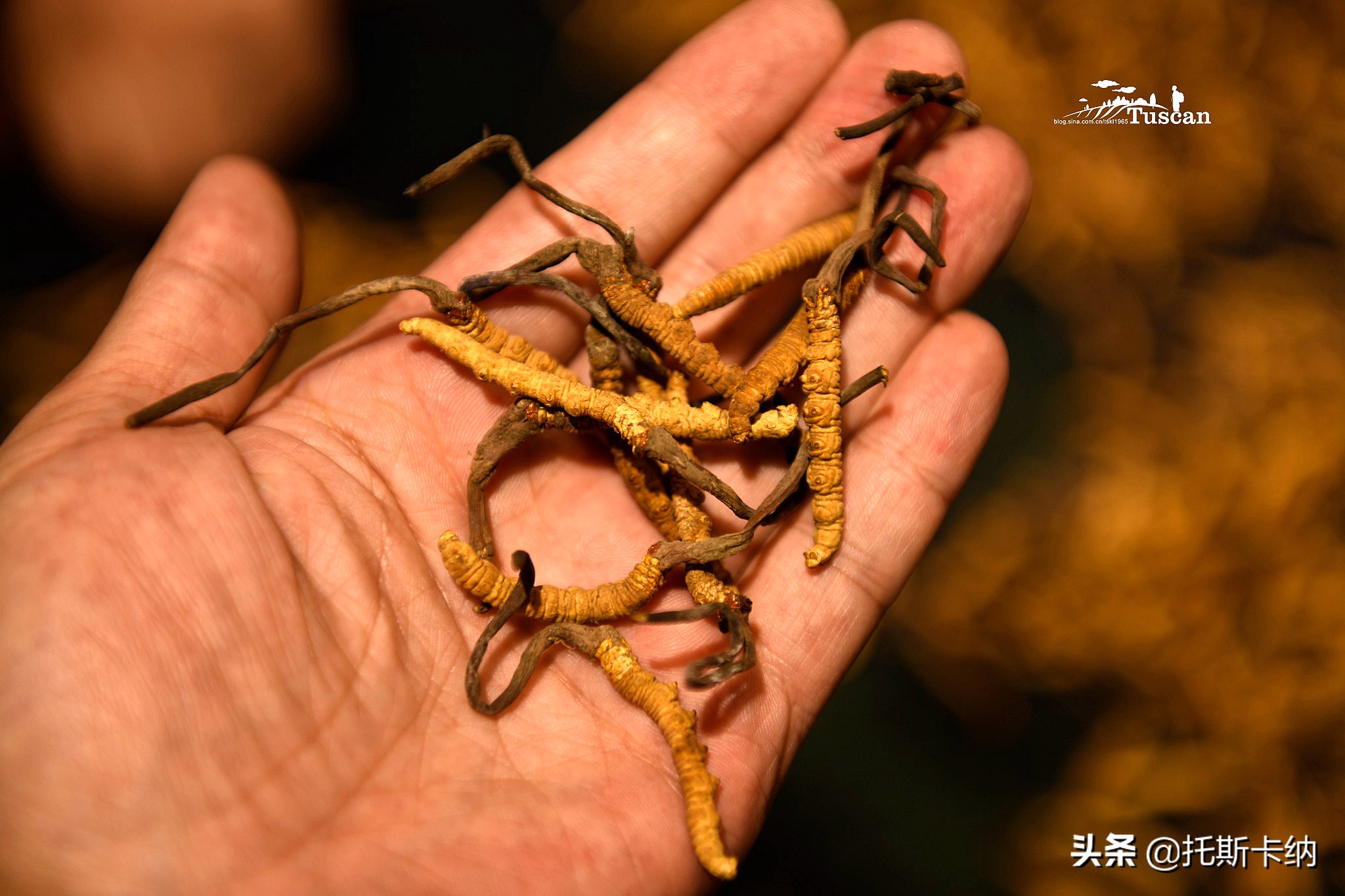 听说这成了西宁第二个网红打卡地,西宁网红打卡地边麻沟