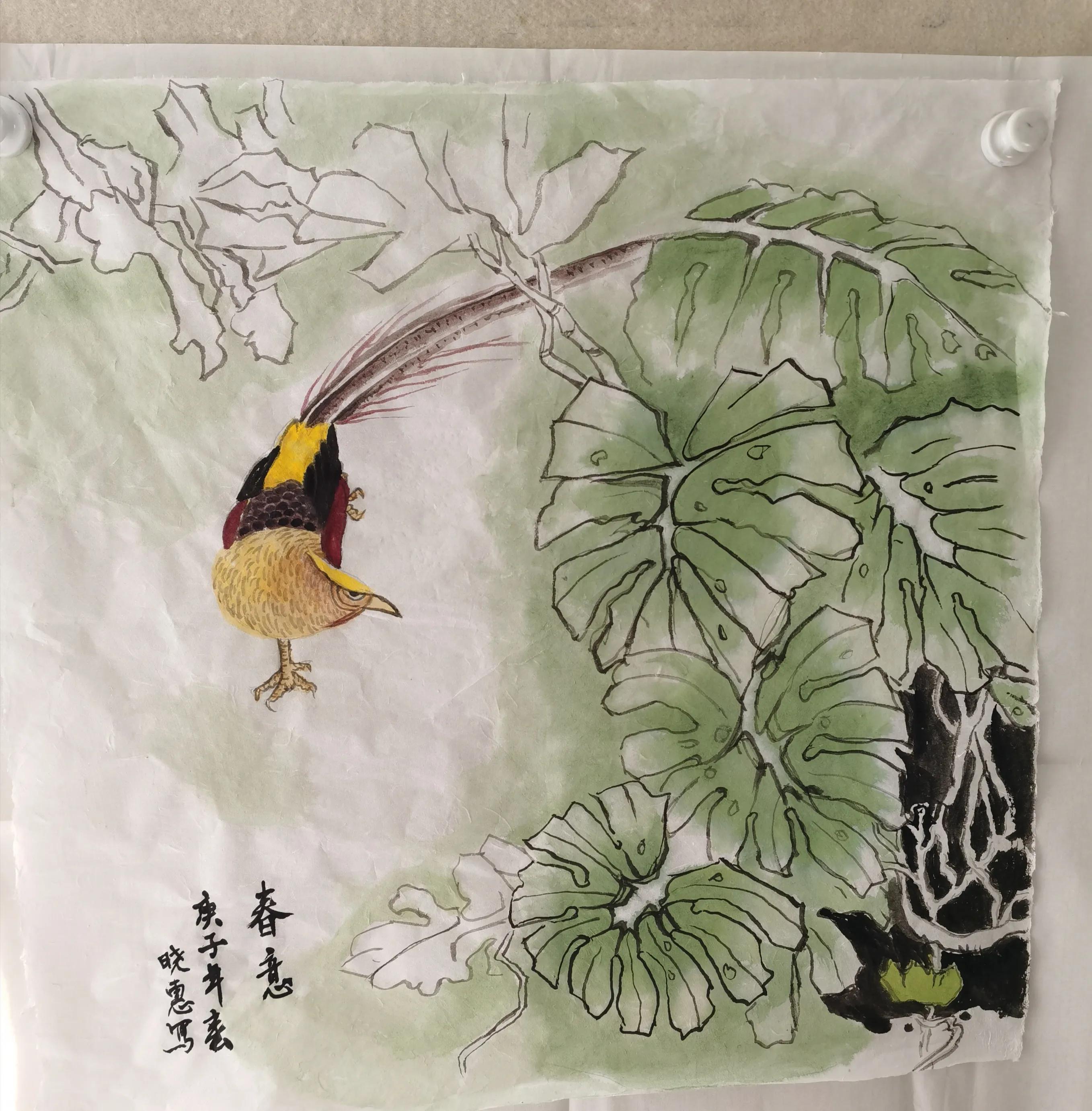 贵州大学1984级管科系同学欢聚毕节录