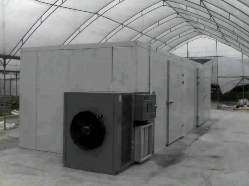 青梅干蜜饯的制作,青梅腌制成酸梅干