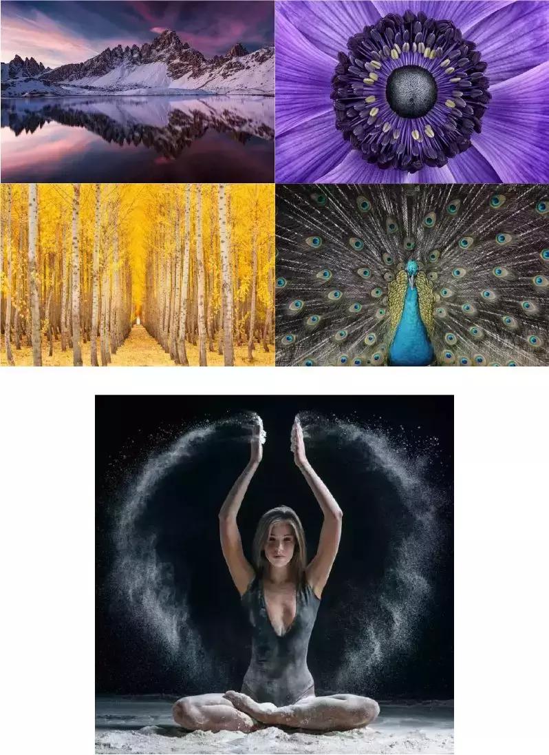 利用轴对称设计简单的图案,运用对称知识制作一幅作品