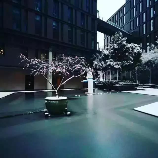 网易实习很难进吗,在网易实习是一种怎样的体验