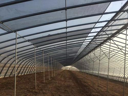 温室大棚建设骨架设计,全骨架温室大棚优缺点