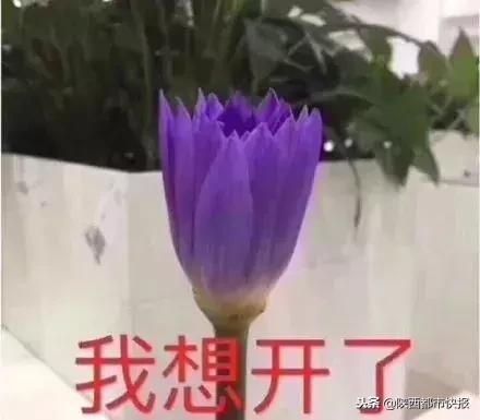 冲鸭开饭了表情包,肖战冲鸭表情包