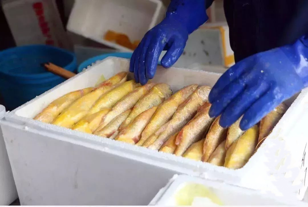 新鲜海鲜和冷冻海鲜哪个好,如何区分海鲜冰鲜和冰冻