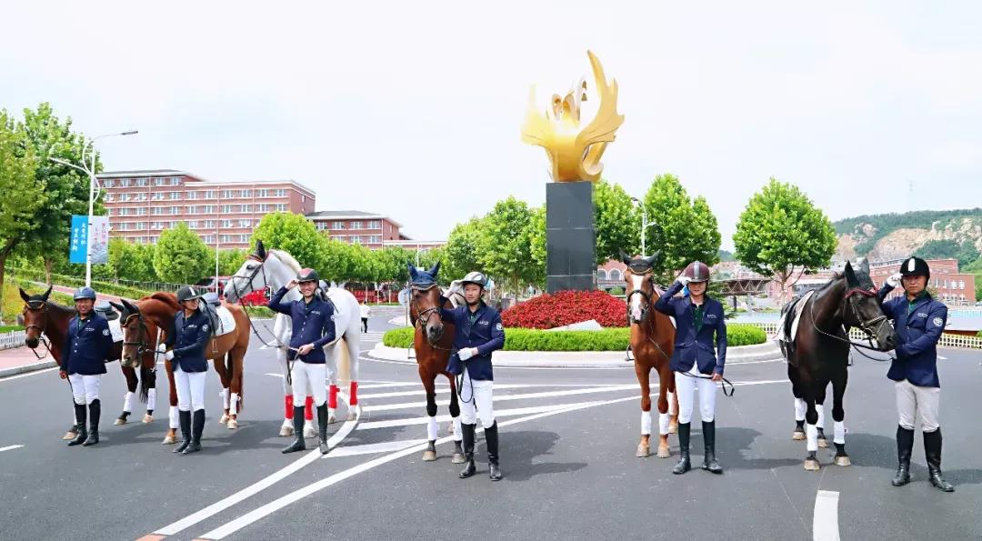 民办学校大连艺术学院全国排名,大连艺术学院辽宁排名