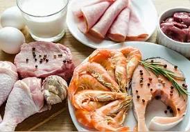 生命的基础蛋白质讲解,生命三大要素蛋白质