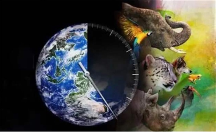 导致第6次生物大灭绝的原因,第6次生物大灭绝人类会消失吗