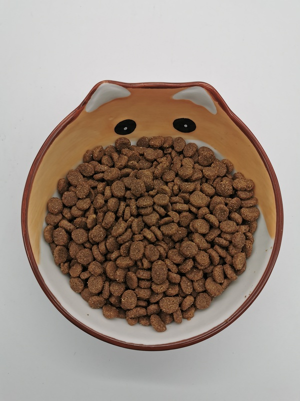 比熊犬进口专用狗粮推荐,比熊犬狗粮哪个牌子好用又便宜