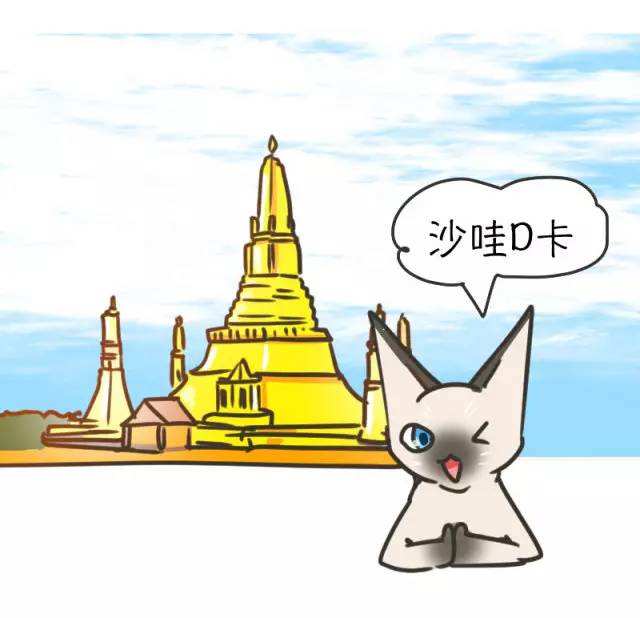 暹罗猫特别怕冷是什么原因,为什么暹罗猫怕冷