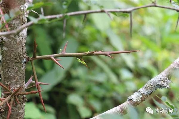 姊佹渤鐗硅壊缇庨,姊佹渤鐗硅壊缇庨鎺ㄨ崘