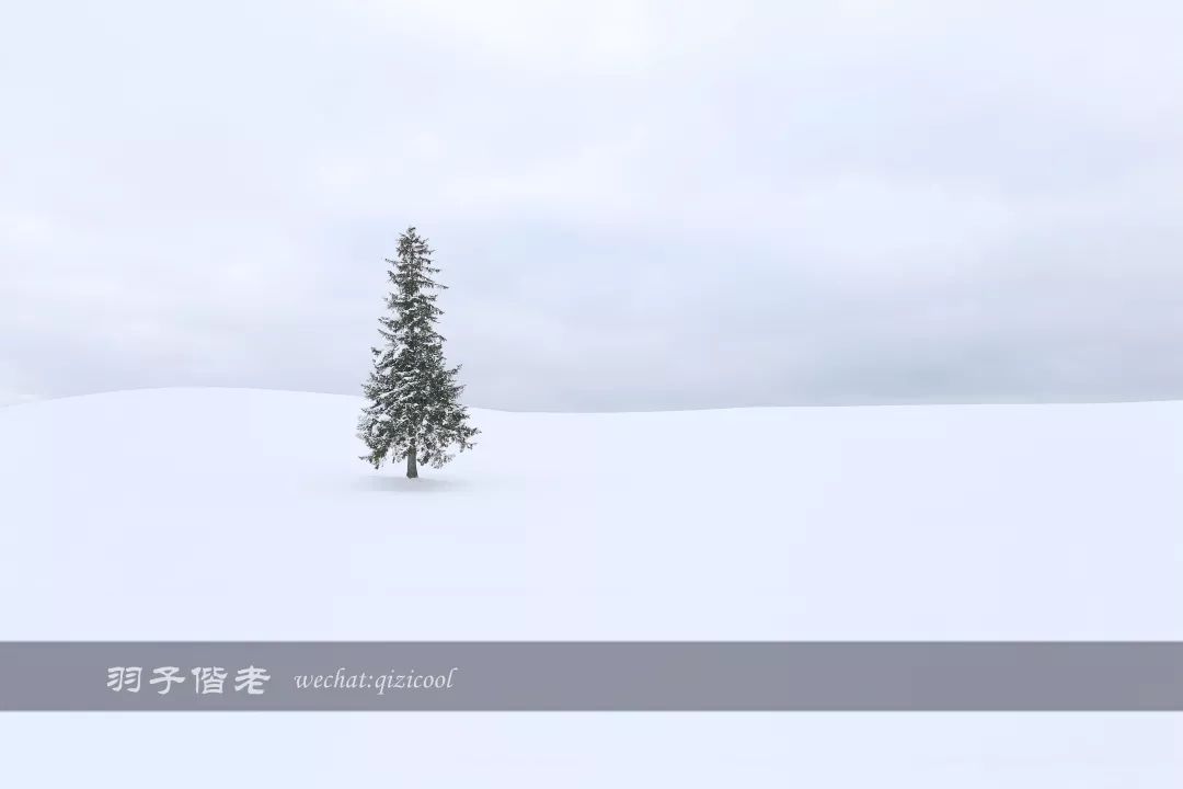 老实说,这一趟北海道就是为了拍好看的照片去的