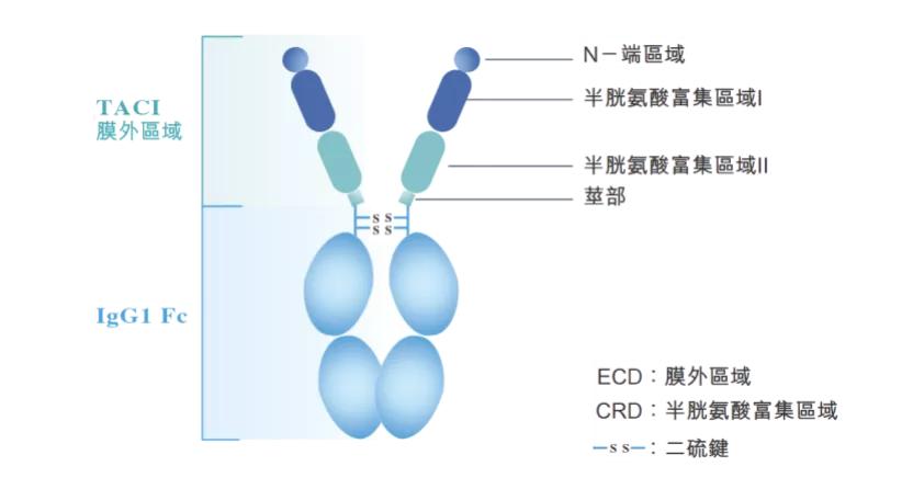 烟台开发区荣昌生物,烟台经济技术开发区荣昌生物
