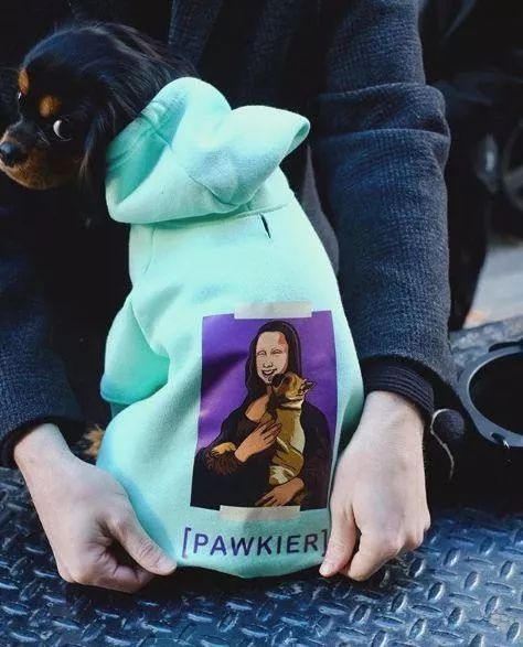 金链子狗潮牌,潮牌boy金链子