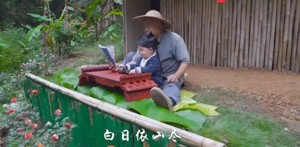 近日李子柒视频走红,李子柒爷爷最火视频