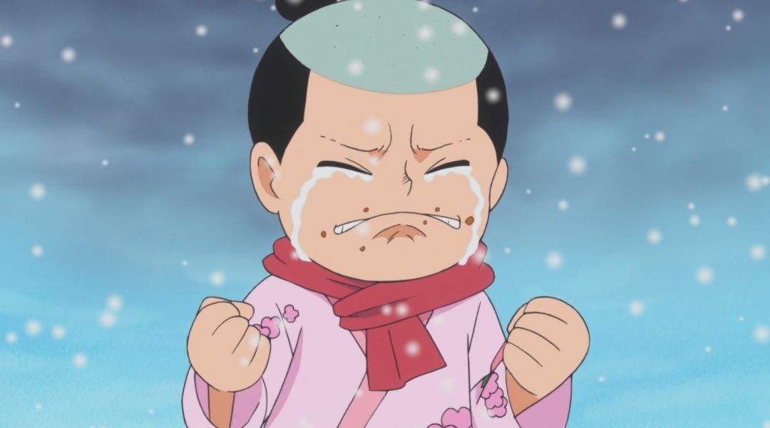 海贼王拍照姿势大全,海贼王拍照姿势女生