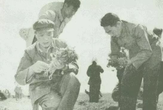 386旅哪些人当过旅长,抗战时期386旅历任旅长有哪些人