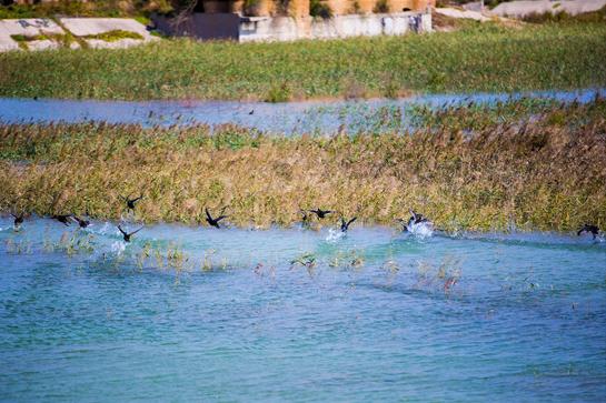 山东省峡山水库风景区,山东十大旅游度假区