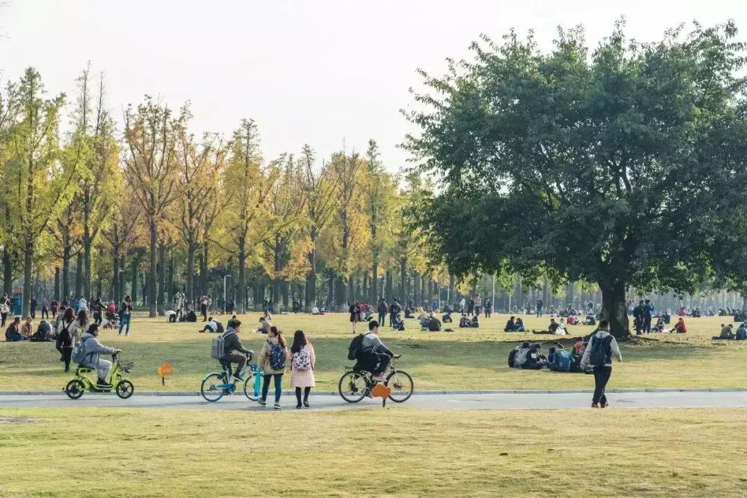 全国十大奇葩高校,奇葩高校盘点