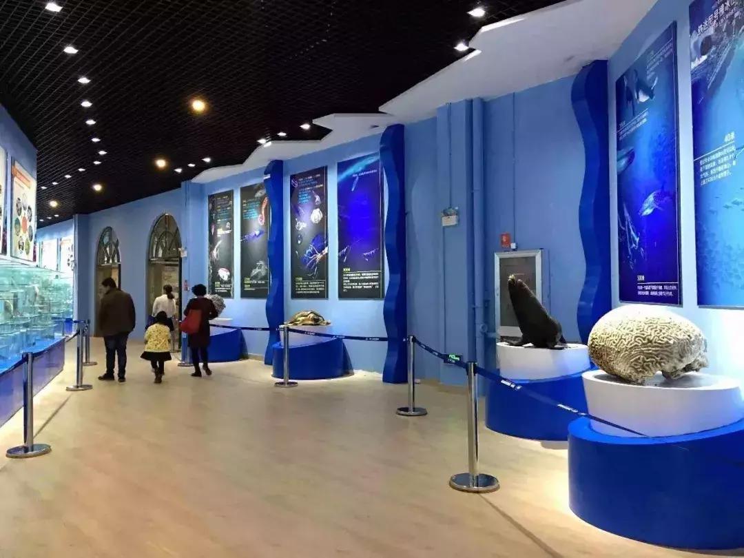 昆明石林景区值得去吗,昆明石林精华景点