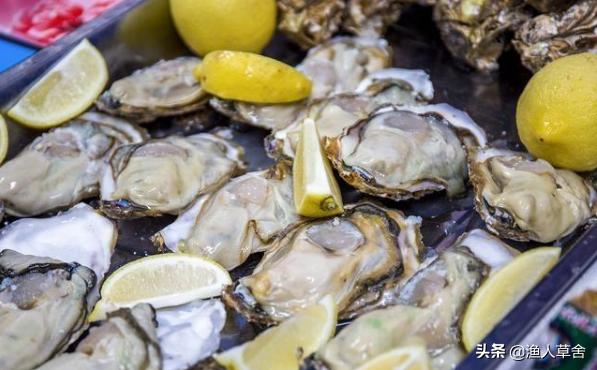 威海乳山牡蛎生蚝,乳山生蚝鲜活大牡蛎