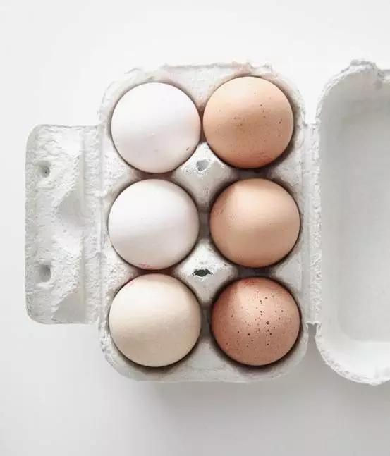 鹌鹑蛋鸡蛋鸭蛋鹅蛋哪个更有营养,鸡蛋鹌鹑蛋鸭蛋鹅蛋哪个更有营养