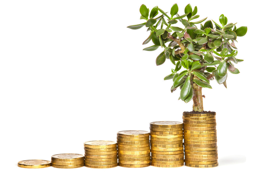 足球场最新招标公告,体校建设项目招标公告