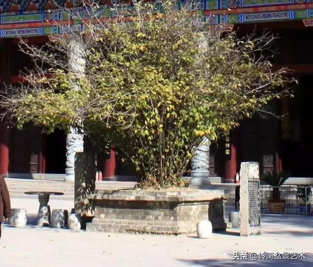 中国十大千年古寺古刹之首,中国十大千年古尸容貌复原成功