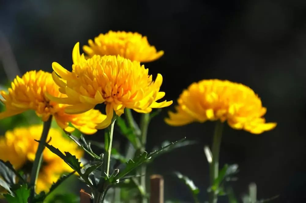 大连九月旅游攻略大全,大连11月旅游的最佳地方