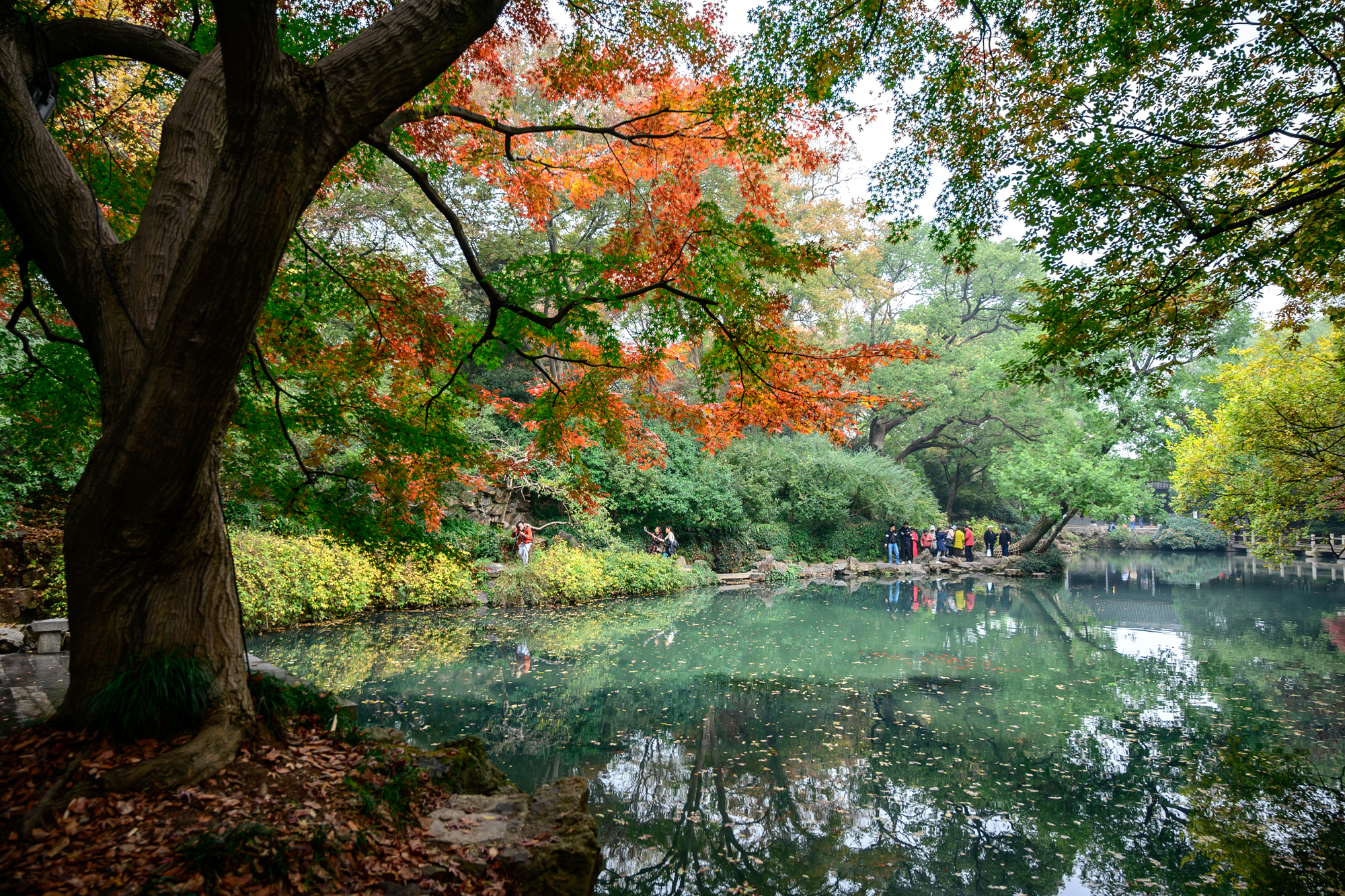 无锡寄畅园太湖石,无锡寄畅园和乾隆的关系