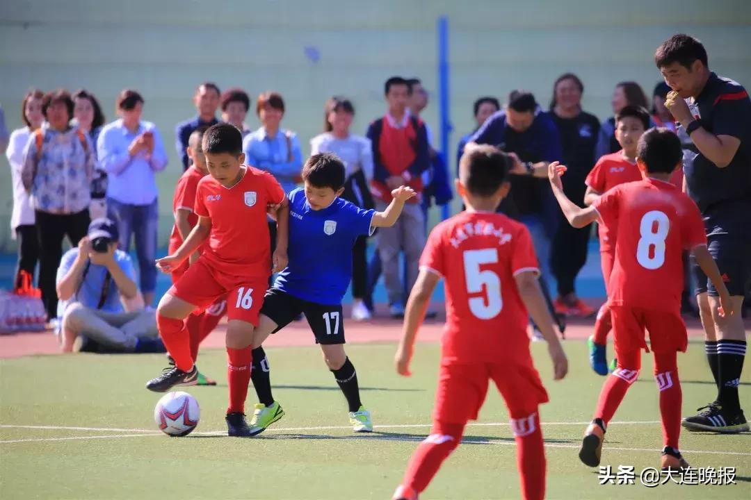 大连大型专业足球场,3万人体育馆有多大