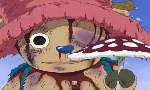 海贼王童年悲惨人物,海贼王悲惨童年