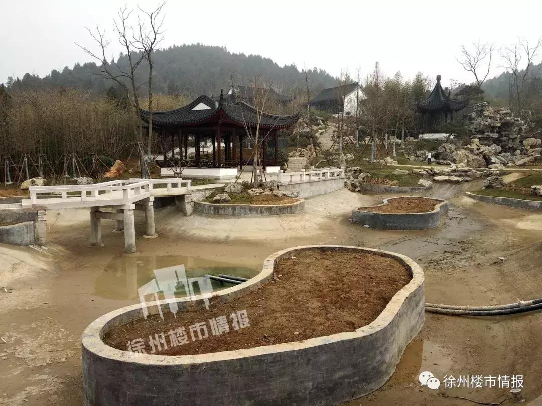 徐州森林公园,徐州森林公园开放时间最新