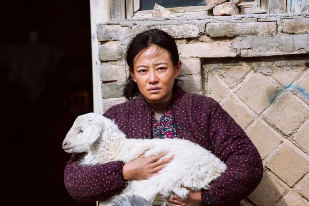 《红海行动》获最佳影片,红海行动1排行榜