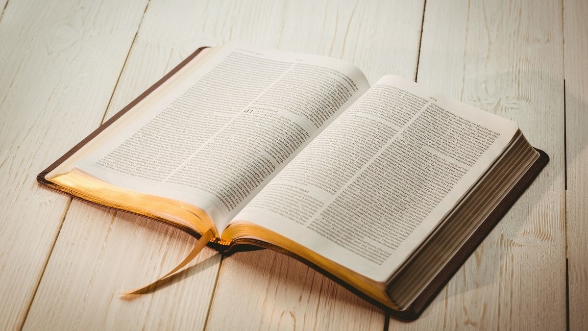 新人如何做自媒体赚钱,自媒体新人赚钱靠谱吗