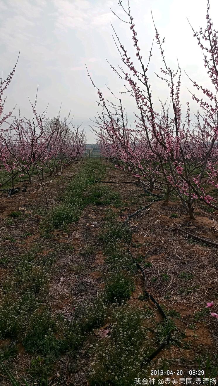 诗和远方在身边完整版,诗和远方在身边