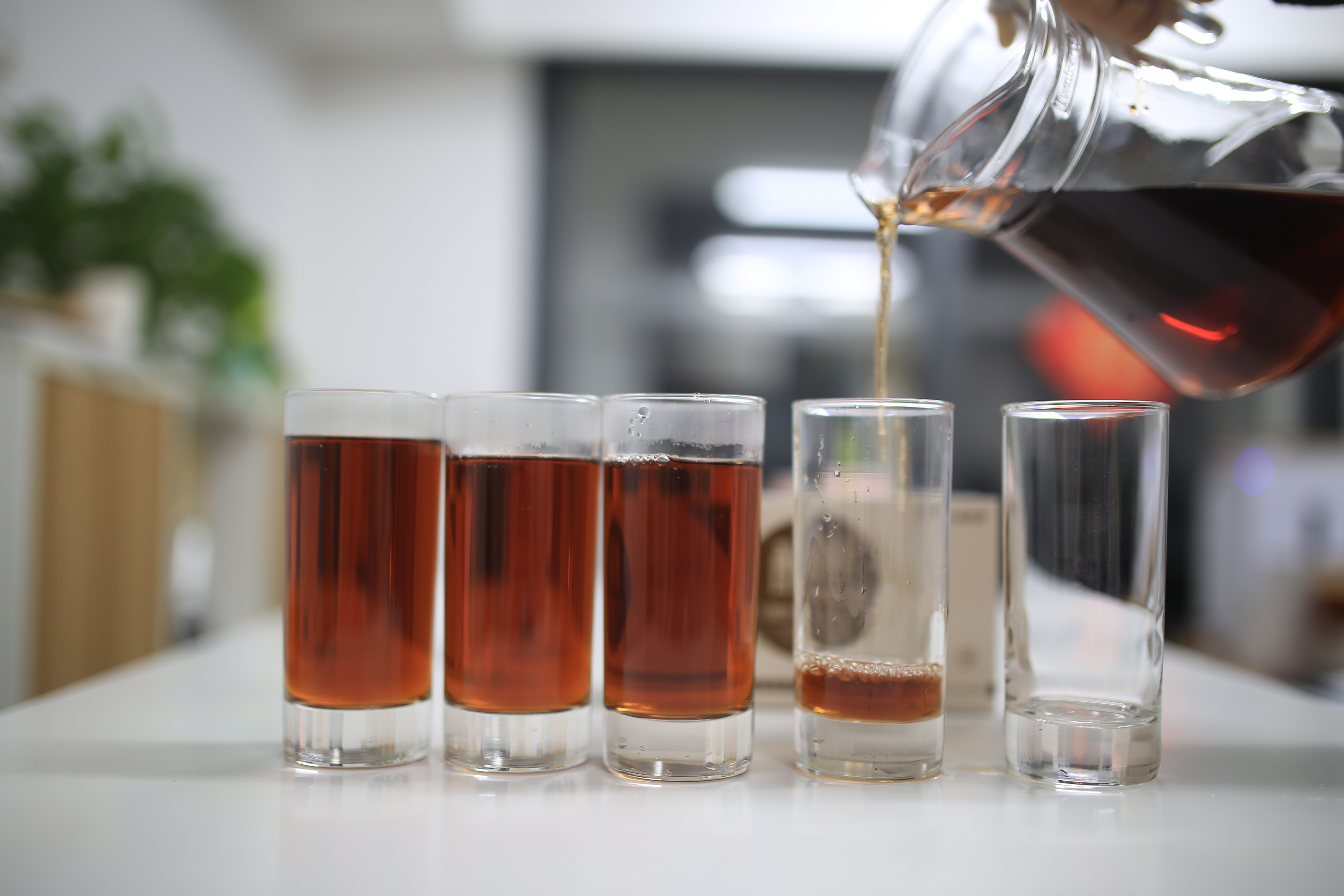 小米有品普洱茶怎么样,小米有品六堡茶