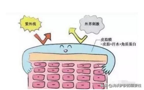 护肤品套装正品补水保湿嫩肤提亮,护肤品保湿补水淡斑化妆品套装