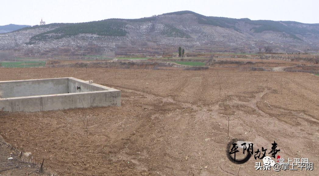 平阴县各村第一书记,平阴县第一书记