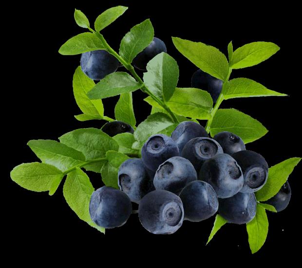 大年初三群相册，有群的都看看，太美了，这辈子见一次值了