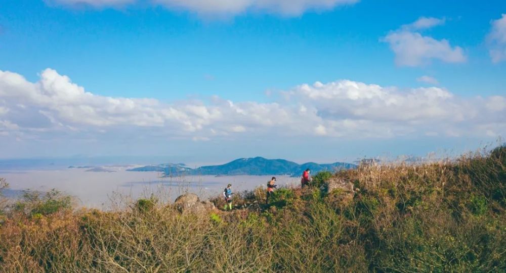 舟山普陀区经济排名,舟山普陀百强区