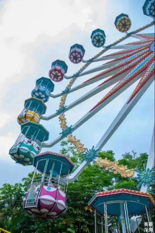 不离深也能“游”|公园超全攻略来了！千园之城，总有一款公园适合你