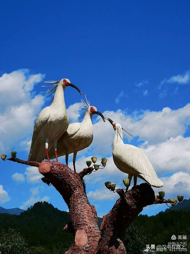 汉中户外遛娃好去处排行榜,汉中遛娃旅游景点有哪些