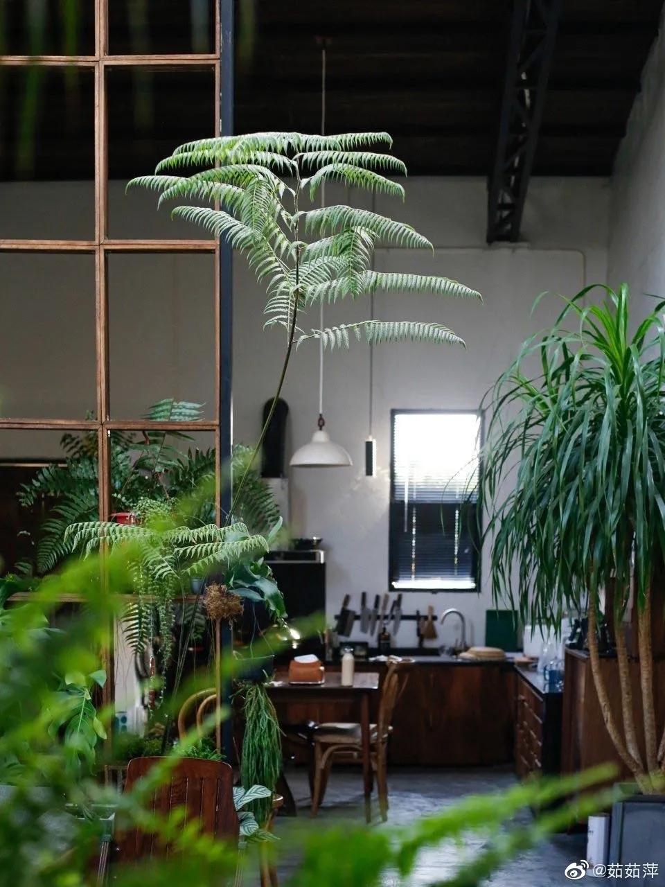 夫妻深山打造500万别墅,90后夫妻隐居山林自建小屋