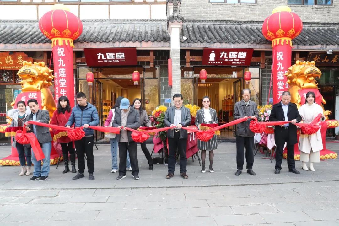 斗茶节白茶仙子,小狮王辛巴出世