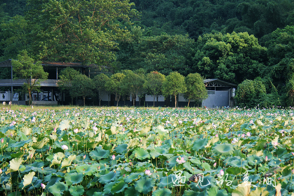 桂林阳朔3天两夜自驾游攻略,桂林阳朔3天2夜自驾游攻略
