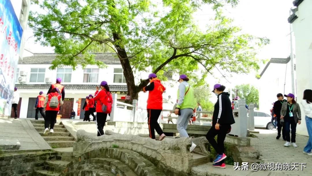 带你看看信阳的茶山美景,信阳浉河茶山直播