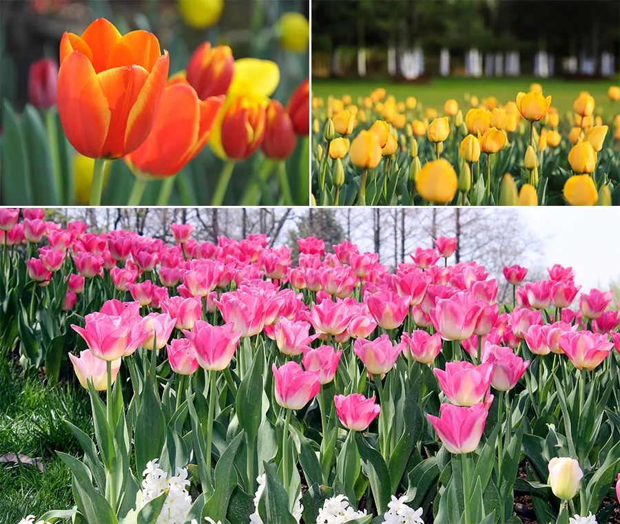 儿童画风车教程,儿童画风车画法