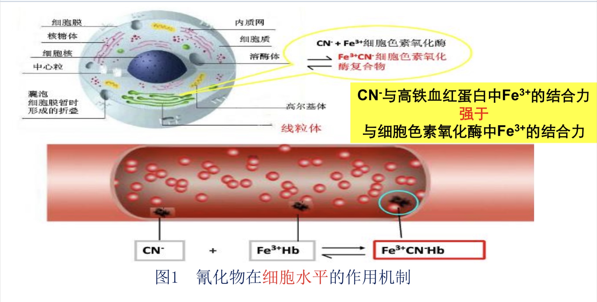 男子40多天毒死7只狗,一对夫妻被投毒