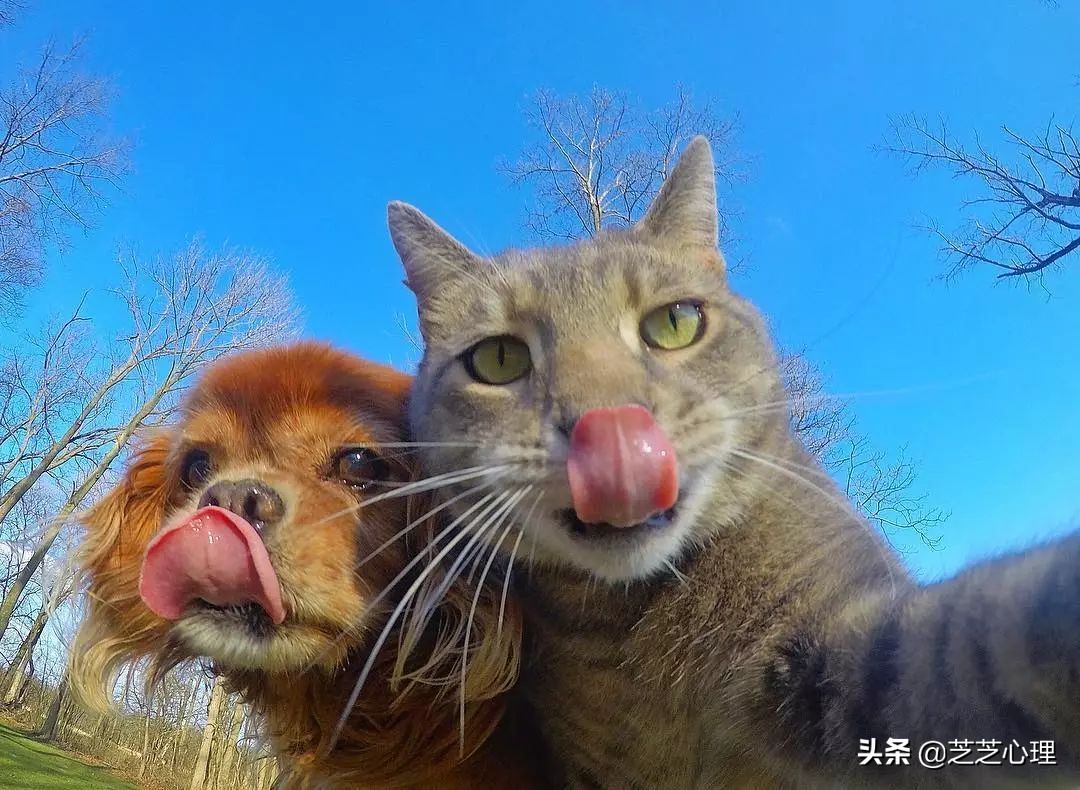 心理学做梦梦到一个人说明在遗忘,心理学上说在梦中梦到的一切